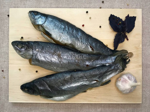 Ведро Ржаные гренки со вкусом Сметана зелень (1 кг): Форель радужная вяленая